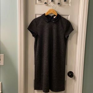 Loft Peter Pan collar dress